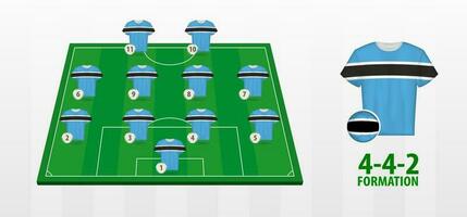 Botswana National Football Team Formation on Football Field. vector