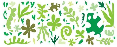 colorful hand drawn pattern with plant illustration vector