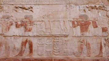gammal vägg målningar i de tempel av hatshepsut, egypten video