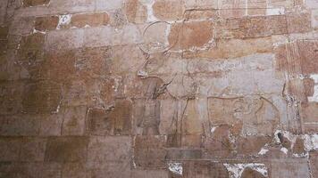 antiguo pared pinturas en el templo de hatshepsut, Egipto video