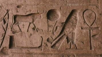 parede quadros dentro a antigo egípcio têmpora do abydos video