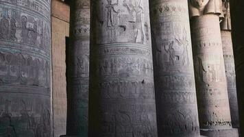 massiv kolonner i de tempel av dendera, egypten video