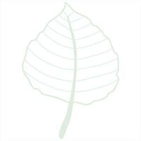 Line art leaf vector