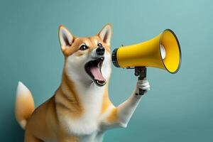 Funny cute dog, Shiba holds a yellow loudspeaker in its shouting and announcing on soft blue studio background, photo