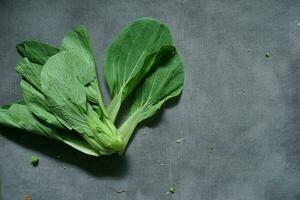 fresh pakcoy greens on concrete background photo