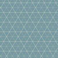 Seamless geometric vector linear patterns on a colored background. Modern illustrations for wallpapers, flyers, covers, banners, minimalistic ornaments, backgrounds.