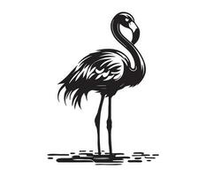 Flamingo, Silhouettes Flamingo, black and white Flamingo vector