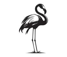 Flamingo, Silhouettes Flamingo, black and white Flamingo vector