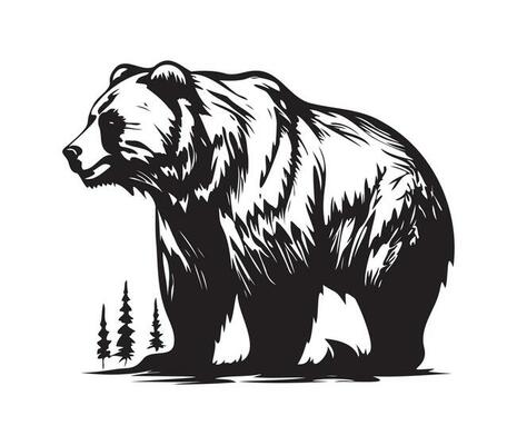 Bear PNG Transparent Images Free Download, Vector Files