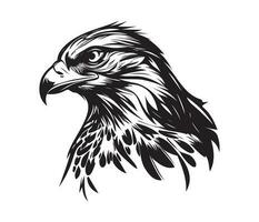 halcón rostro, siluetas halcón rostro, negro y blanco halcón vector