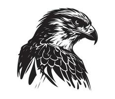 halcón rostro, siluetas halcón rostro, negro y blanco halcón vector