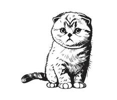 Scottish fold Face, Silhouettes cat face, black and white Scottish fold vector