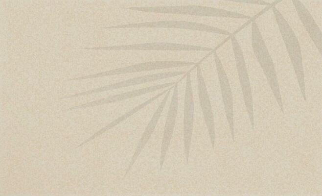 Sand Beach Texture Background with Palm Leaf and Shadow,Vector illustration Flat Lay Top View Tropical Summer beach,Coconut leaves on brown sandy with copy space,Holiday Summer backdrop background