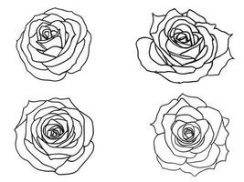 Beautiful Roses outline Collection Set illustration Vector Art design