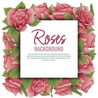 Frame with roses. Border with pink flowers and green leaves. Background, postcard with botanical elements. Vector illustration.