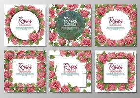 Set of postcards with roses. Border, frame with pink flowers and green leaves. Background with botanical elements. Vector illustration.