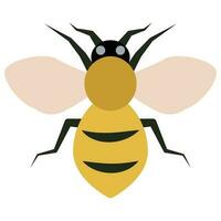 Flat color icon for bumble bee. vector