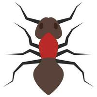 Flat color icon for ant. vector