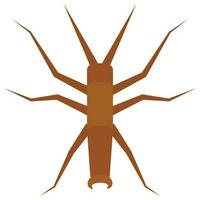 Flat color icon for walking sticks bug. vector