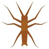 Flat color icon for walking sticks bug. vector