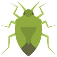 Flat color icon for stink bug. vector