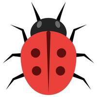 Flat color icon for ladybug. vector