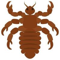 Flat color icon for scorpion. vector