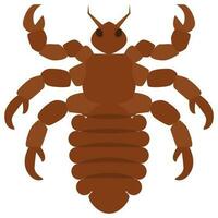 Flat color icon for scorpion. vector