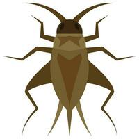 Flat color icon for cricket bug. vector