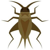 Flat color icon for cricket bug. vector