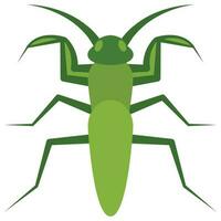 Flat color icon for praying bug. vector