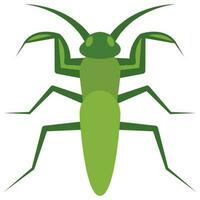 Flat color icon for praying bug. vector