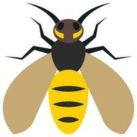 Flat color icon for yellow jacket. vector