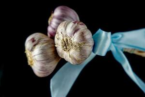 natural heads of garlic on a black background with the associated blue ribbon photo