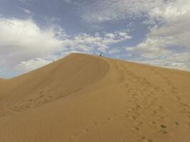 summer desert landscape on a warm sunny day from Maspalomas dunes on the Spanish island of Gran Canaria photo