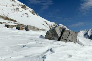 stecci medieval lápidas cementerios en lukomir aldea, bosnia y herzegovina el lápidas característica un amplio rango de decorativo motivos y inscripciones. invierno y nieve. foto