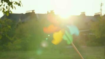 Plastik Regenbogen Windmühle dreht sich gegen das Rahmen Sonne. Kinder- Spielzeug im das Grün Garten video