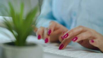 Female hands with bright manicure typing on a computer keyboard video