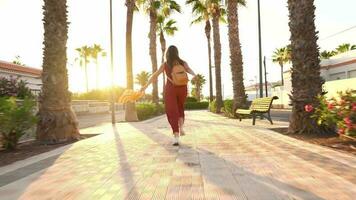 Happy woman in a big yellow hat walking along a palm alley at sunset video