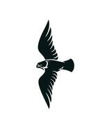 sencillo logo estilo de halcón pájaro vector