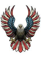 eagle of america in hand drawn style vector