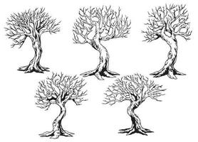 Set of dry tree in hand drawn style vector