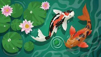 koi peces nadar en el estanque vector