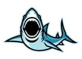 Angry attacking shark mascot vector