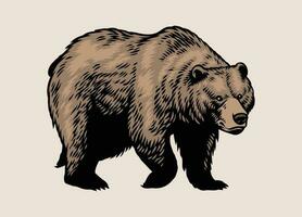 Hand Drawn of Walking Brown Bear vector