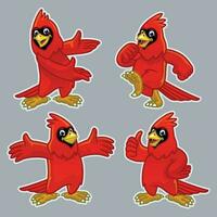 set cartoon of funny cardinal bird vector