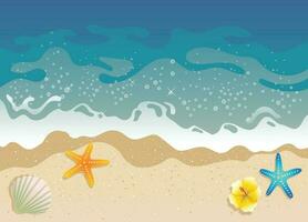 White Sand Beach vector