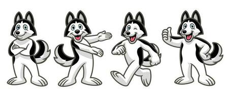 set cartoon of husky dog mascot character vector