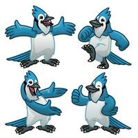 set cartoon character of blue jay bird vector