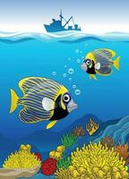 Emperor Angelfish Swiming at the coral life vector
